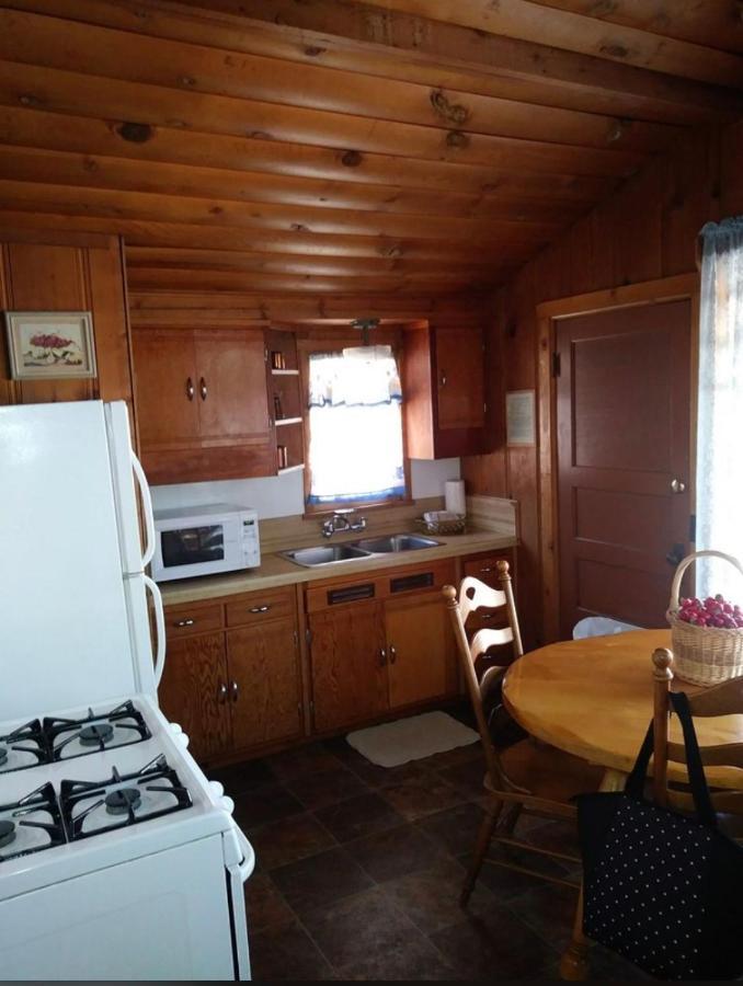 Golden Bear Inc Big Bear Lake Exterior foto