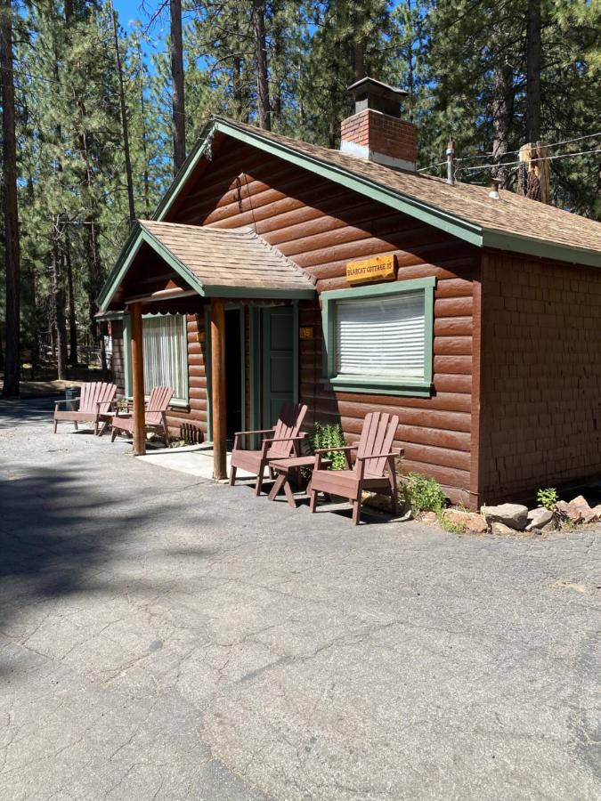 Golden Bear Inc Big Bear Lake Exterior foto