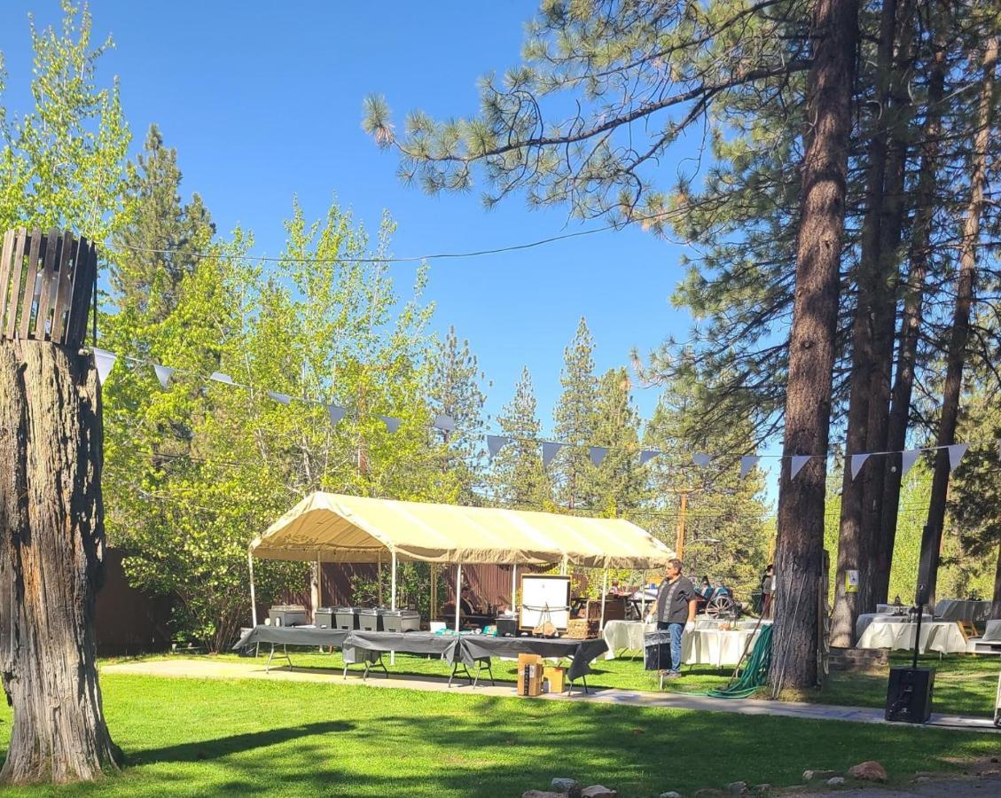 Golden Bear Inc Big Bear Lake Exterior foto