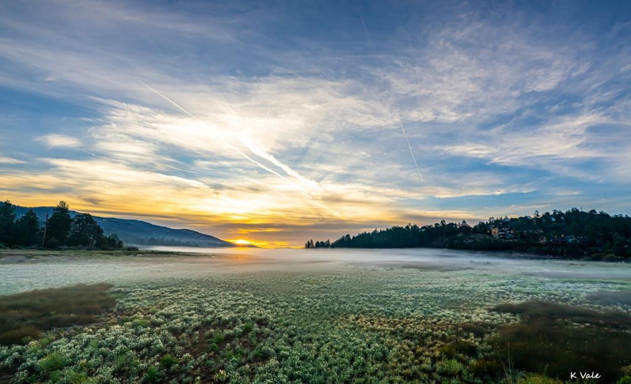 Golden Bear Inc Big Bear Lake Exterior foto